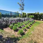 公寓 Albufeiramar 阿尔布费拉