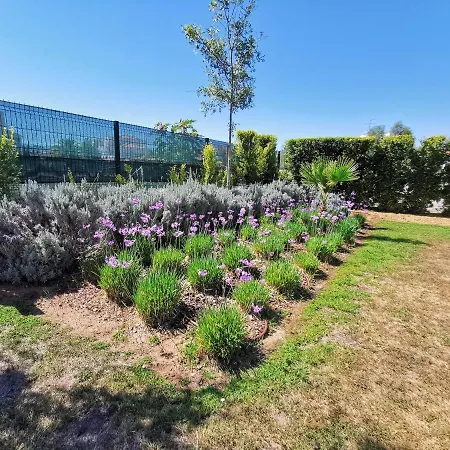 Apartment Albufeiramar Albufeira